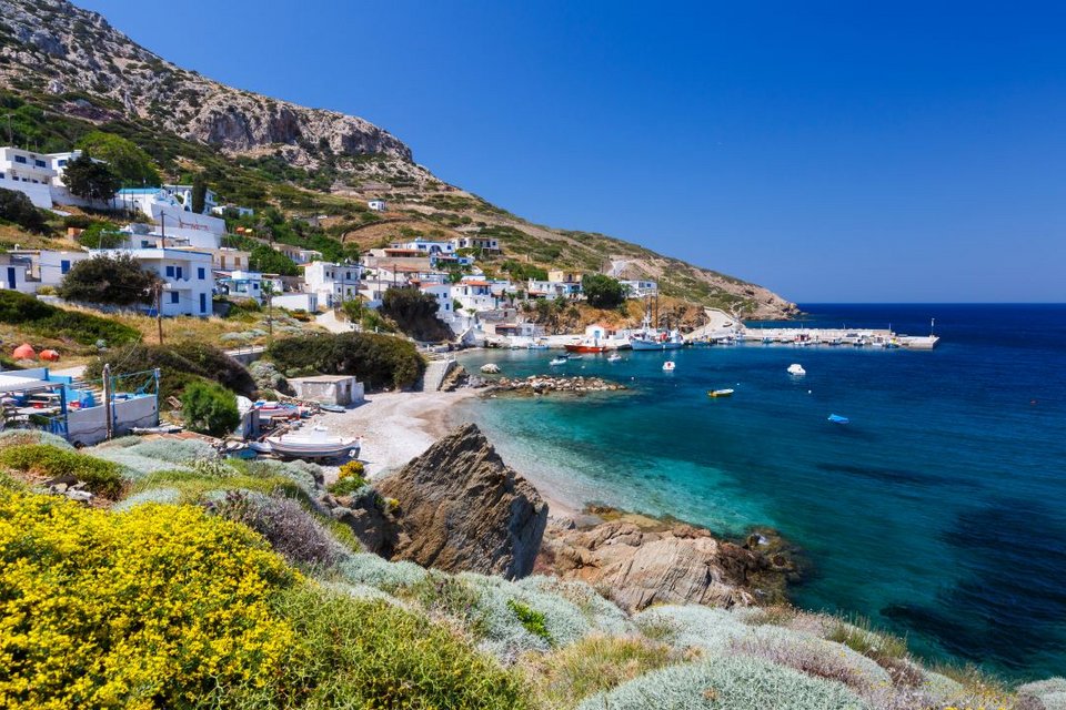 Θύμαινα σύμπλεγμα Φούρνοι