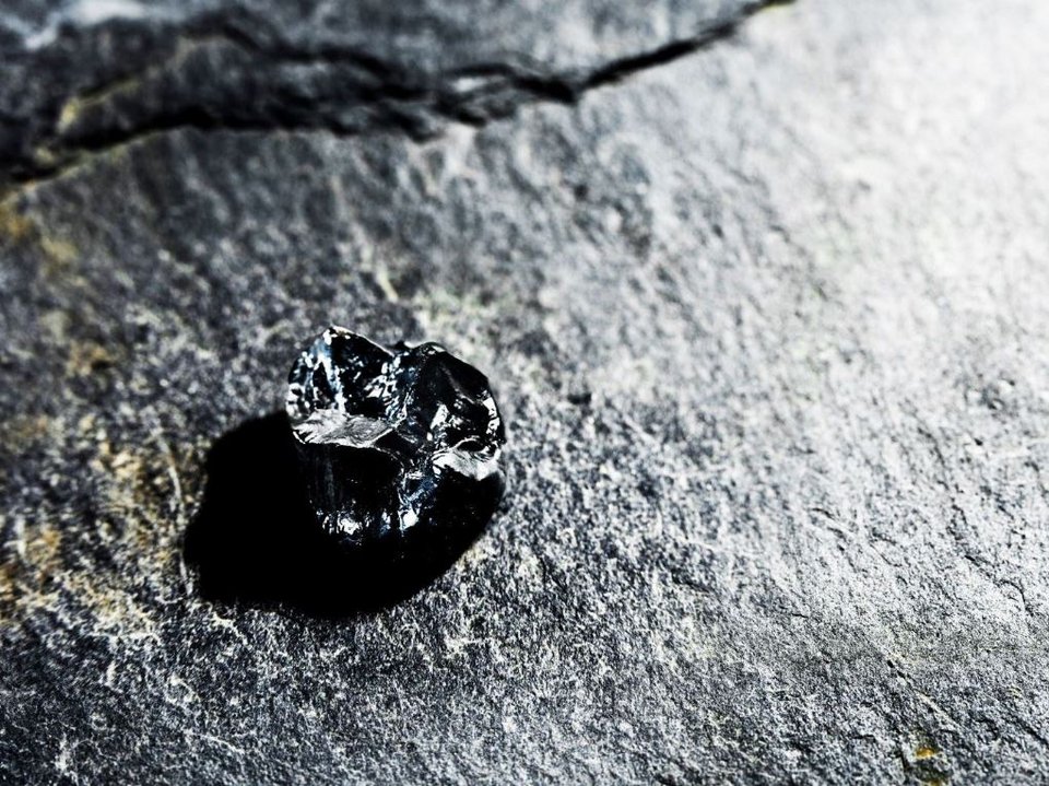  Δόντι του μικρότερου γνωστού πίθηκου Buronius manfredschmidi/Πηγή: UNIVERSITY OF TÜBINGEN 