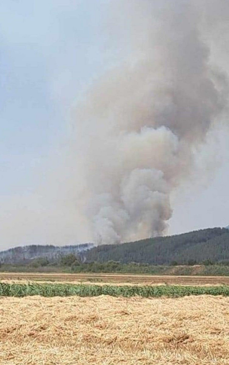 Φωτιά στη Λίμνη Βόλβη / Φωτογραφία: Facebook