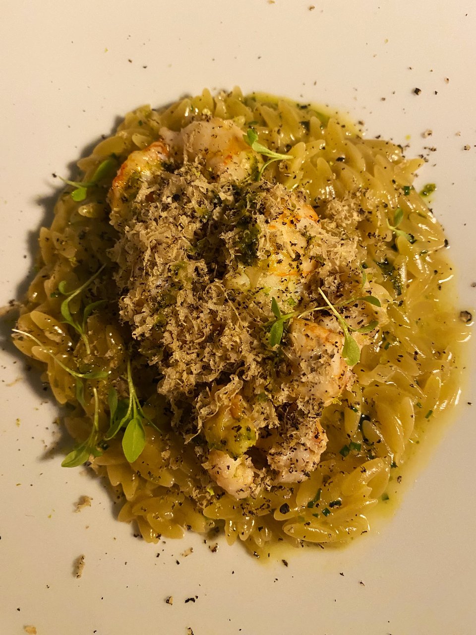 Κριθαρότο καραβίδας με τρούφα / Φωτογραφία: Μάνος Λειβαδάρος/iefimerida 