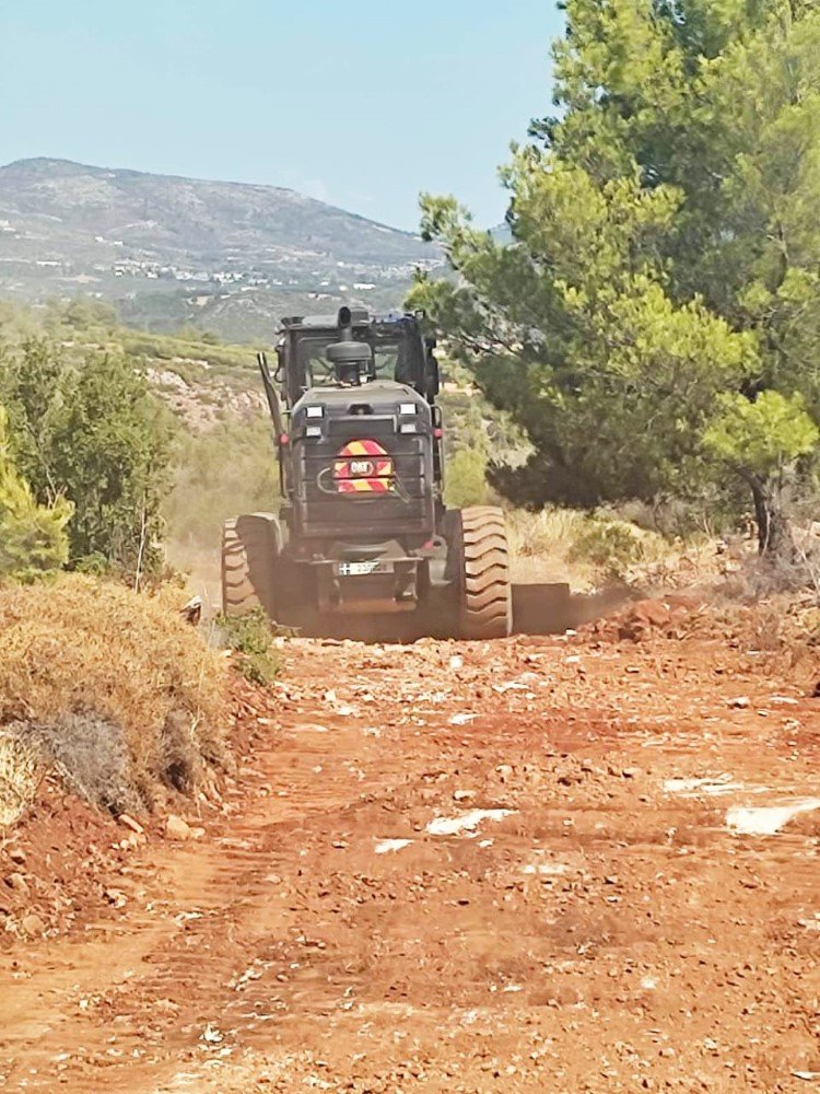 αντιπυρικές ζώνες στον Μαραθώνα
