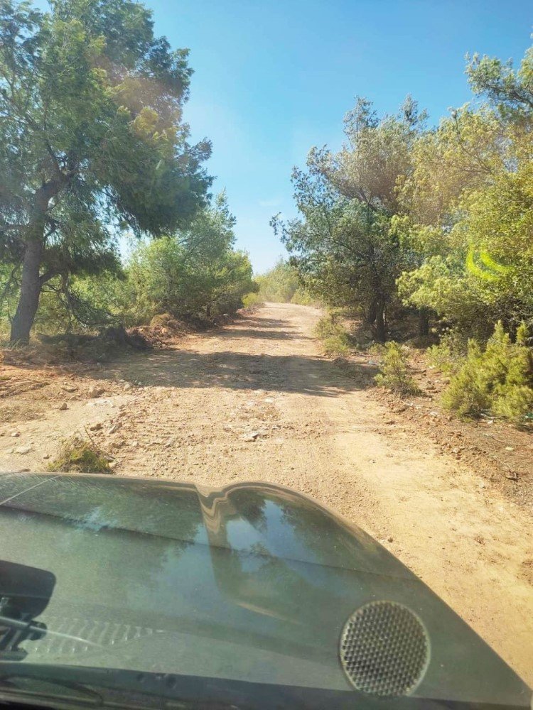 αντιπυρικές ζώνες στον Μαραθώνα