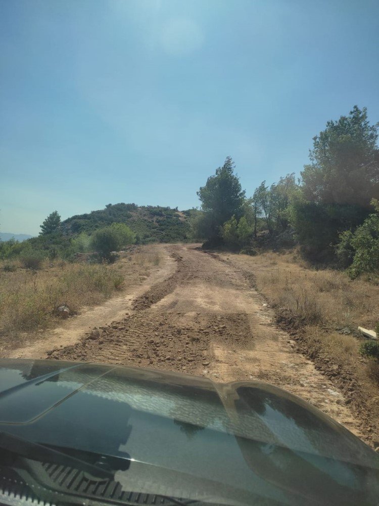 αντιπυρικές ζώνες στον Μαραθώνα