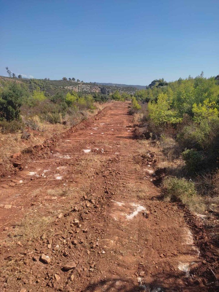 αντιπυρικές ζώνες στον Μαραθώνα