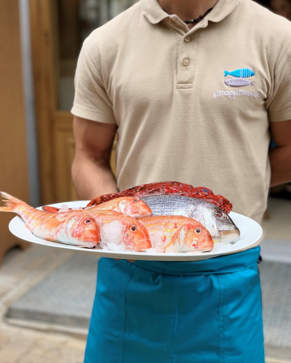 Η ψαριά της ημέρας