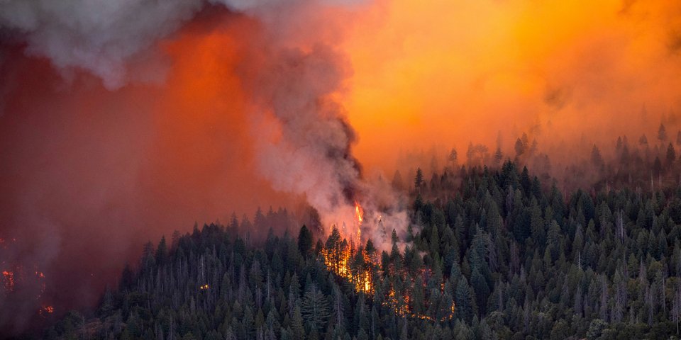 AP Photo/Noah Berger