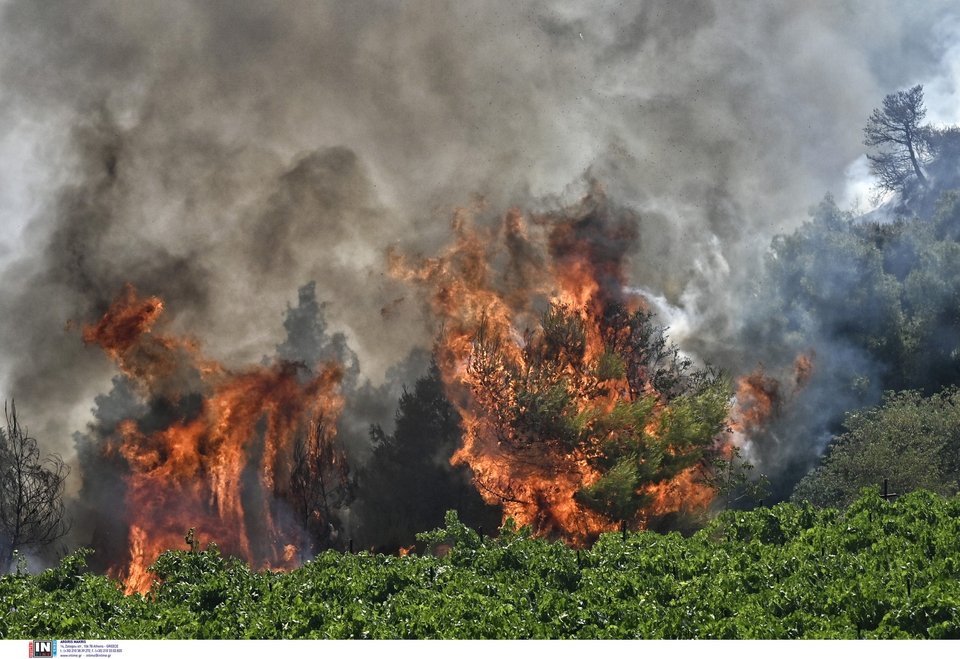 Καίει ανεξέλεγκτη η φωτιά στη Στιμάγκα Κορινθίας / Φωτογραφία: Intimenews/ΨΩΜΑΣ ΒΑΣΙΛΗΣ