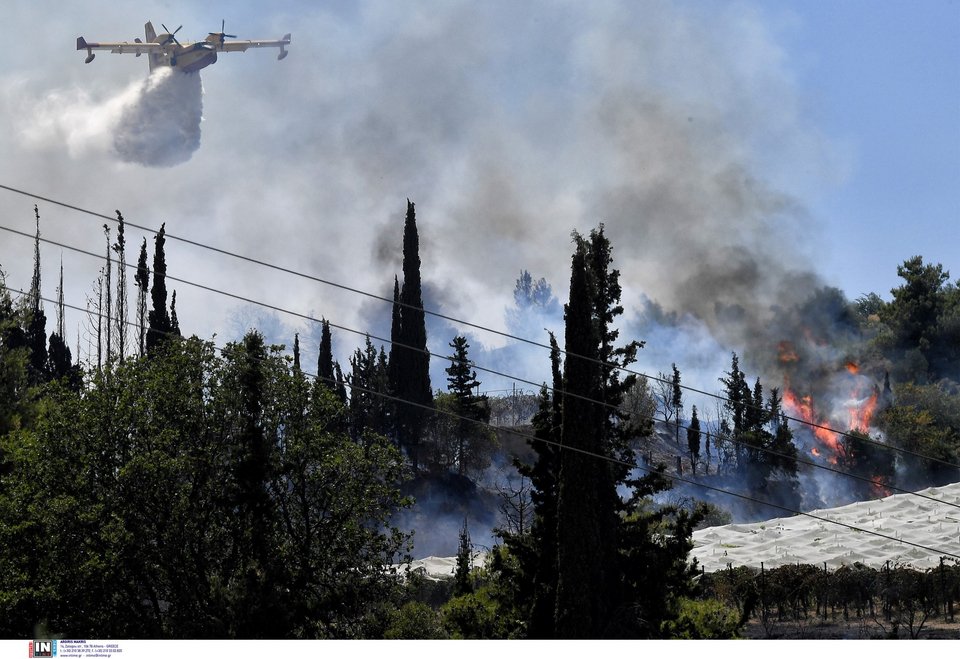 Καίει ανεξέλεγκτη η φωτιά στη Στιμάγκα Κορινθίας / Φωτογραφία: Intimenews/ΨΩΜΑΣ ΒΑΣΙΛΗΣ