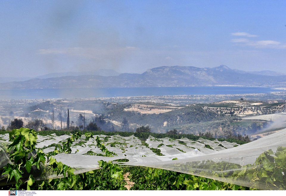 Καίει ανεξέλεγκτη η φωτιά στη Στιμάγκα Κορινθίας / Φωτογραφία: Intimenews/ΨΩΜΑΣ ΒΑΣΙΛΗΣ