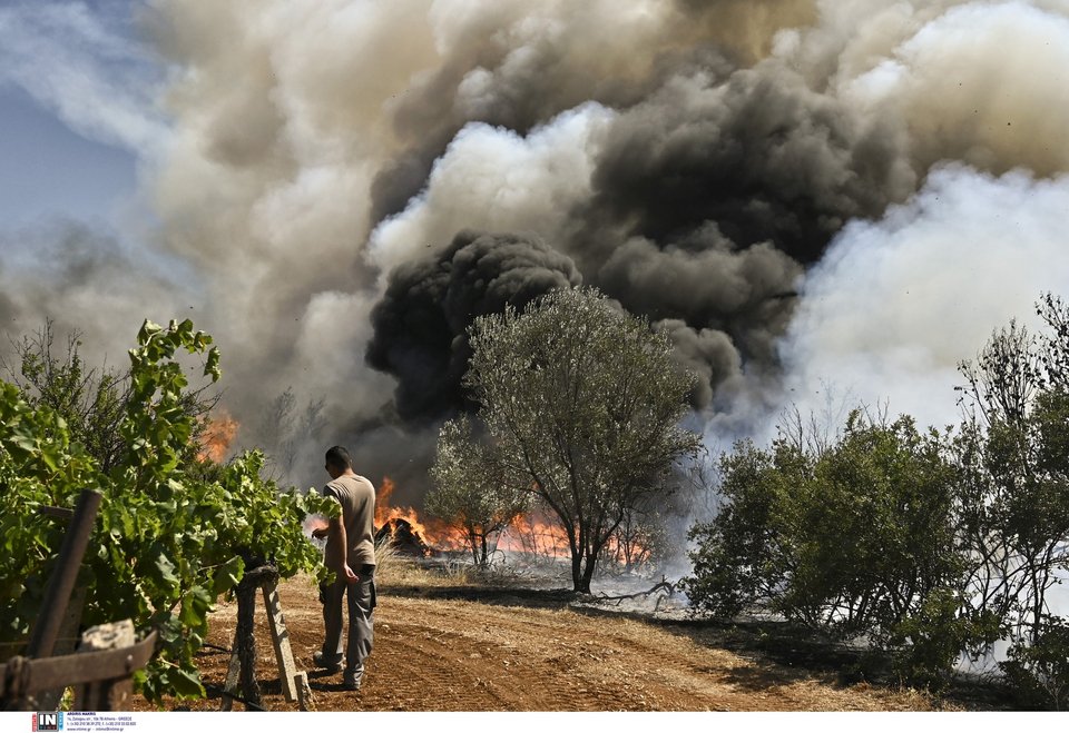 Καίει ανεξέλεγκτη η φωτιά στη Στιμάγκα Κορινθίας / Φωτογραφία: Intimenews/ΨΩΜΑΣ ΒΑΣΙΛΗΣ