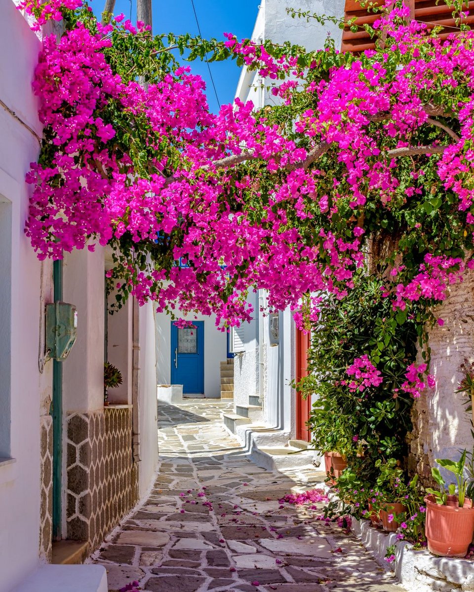 Όμορφες και περιποιημένες γειτονιές