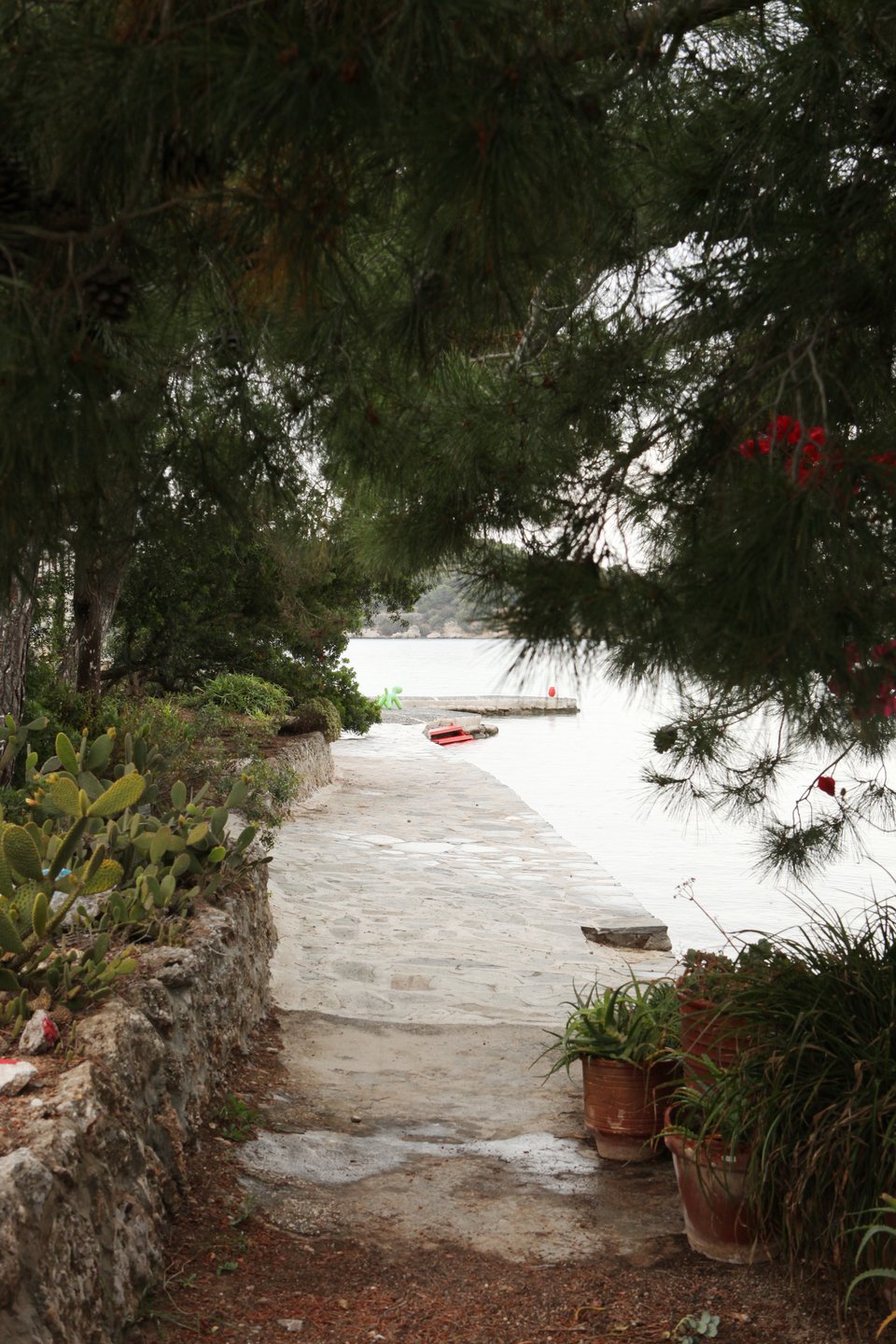 Μονοπάτι που οδηγεί στη θάλασσα / Φωτογραφία: Courtesy of George Carabellas