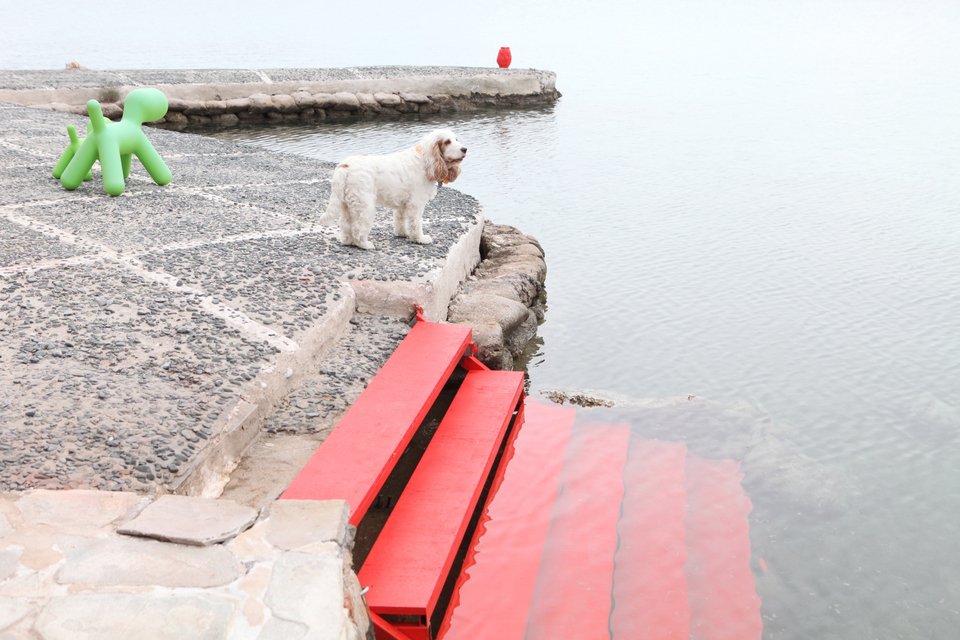 Τα κόκκινα σκαλάκια κατεβαίνουν από τον μόλο στο νερό / Φωτογραφία: Courtesy of George Carabellas