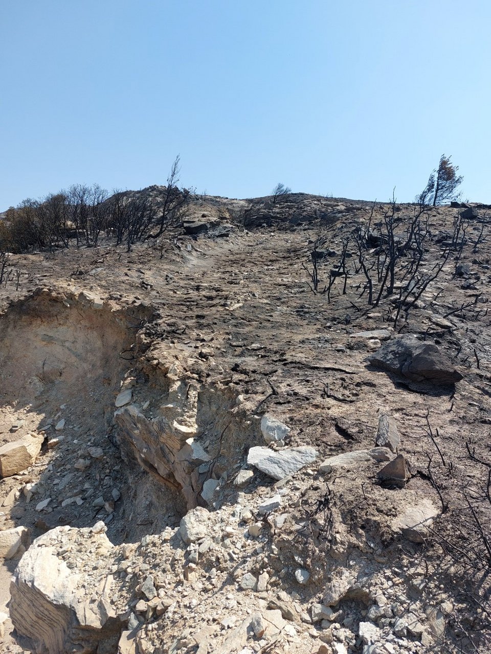 Oδός Λιθαγωγίας Νότιο τμήμα Πεντέλης