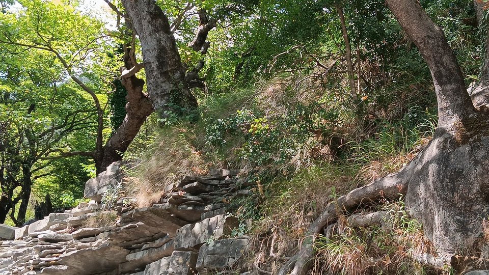 Η άγνωστη ορεινή Άρτα, μια διαφορετική πρόταση διακοπών στα βουνά
