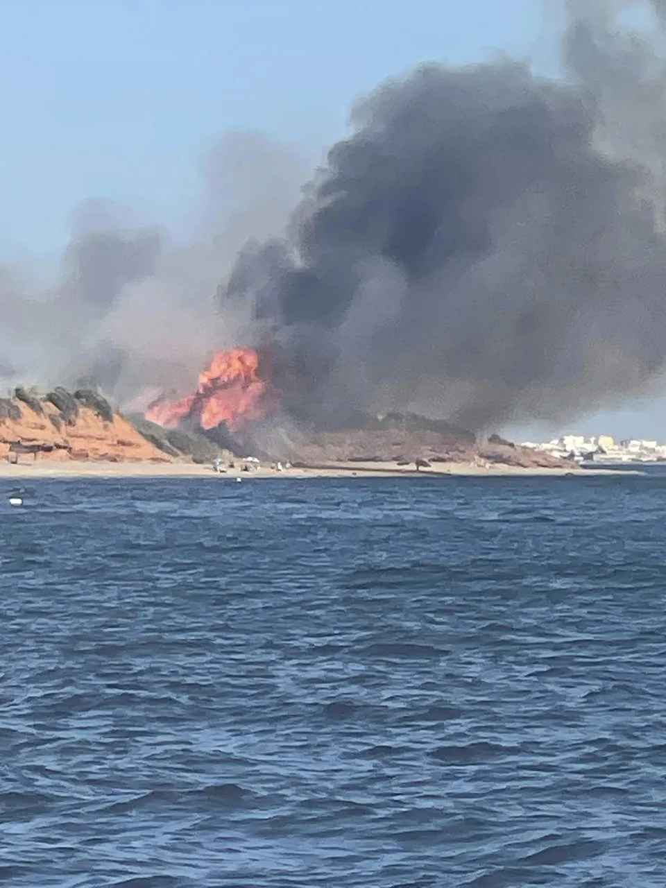 fotia alexandroupoli 13 8 24 1.jpg