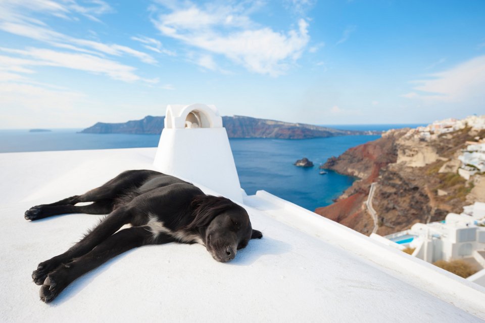 Φωτογραφία Shutterstock
