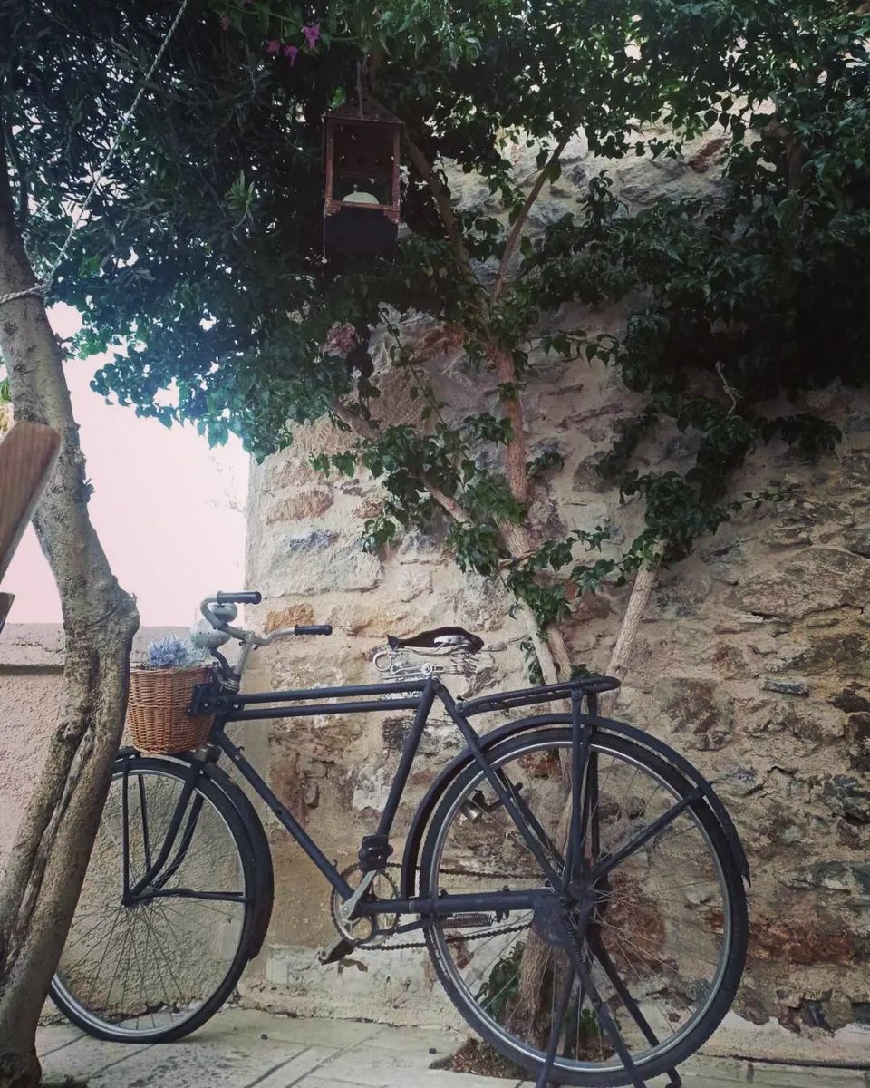 Παλιό ποδήλατο σαν ντεκόρ στην αυλή / Φωτογραφία: to_lazo/Instagram