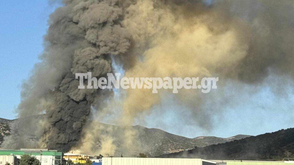 Φωτιά σε χώρο εργοστασίου στη ΒΙΠΕ Βόλου