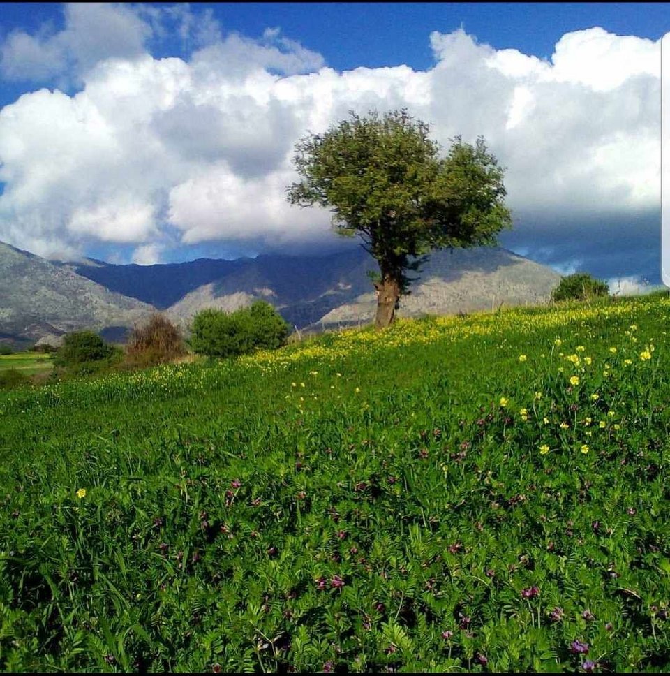 Στα κτήματα του στη Σαμοθράκη
