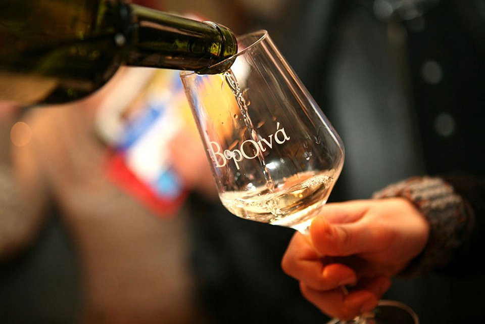 Οινογνωσία στα Βοροινά / Φωτογραφία: winemakersofnorthgreece.gr