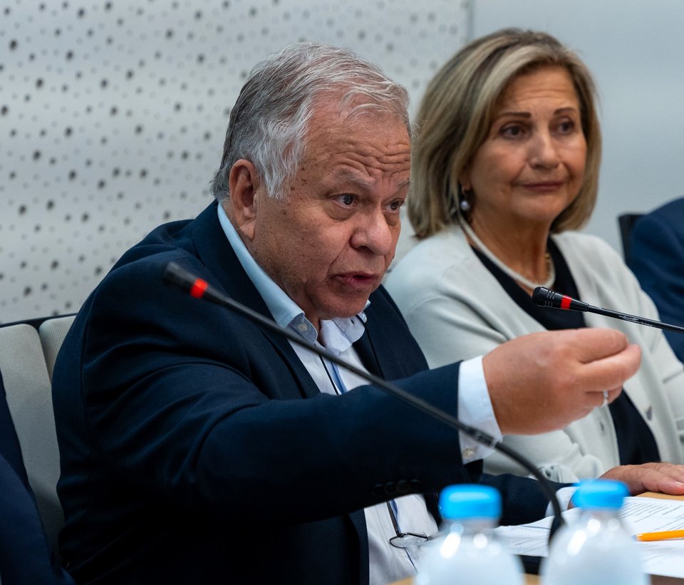 Κωνσταντίνος Γιαννόπουλος, Πρόεδρος Δ.Σ. του Οργανισμού «Το Χαμόγελο του Παιδιού»