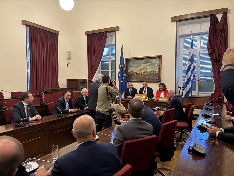 Ραντεβού Γεραπετρίτη με τους «γαλάζιους» βουλευτές στη Βουλή / Φωτογραφία: iefimerida.gr