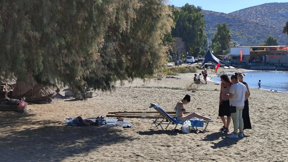 PHOTO 2024 10 28 12 51 50%20%28Custom%29.jpg