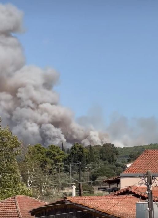 Η φωτιά στο Γεράκι Αμαλιάδας καίει κοντά σε κατοικημένη περιοχή / facebook
