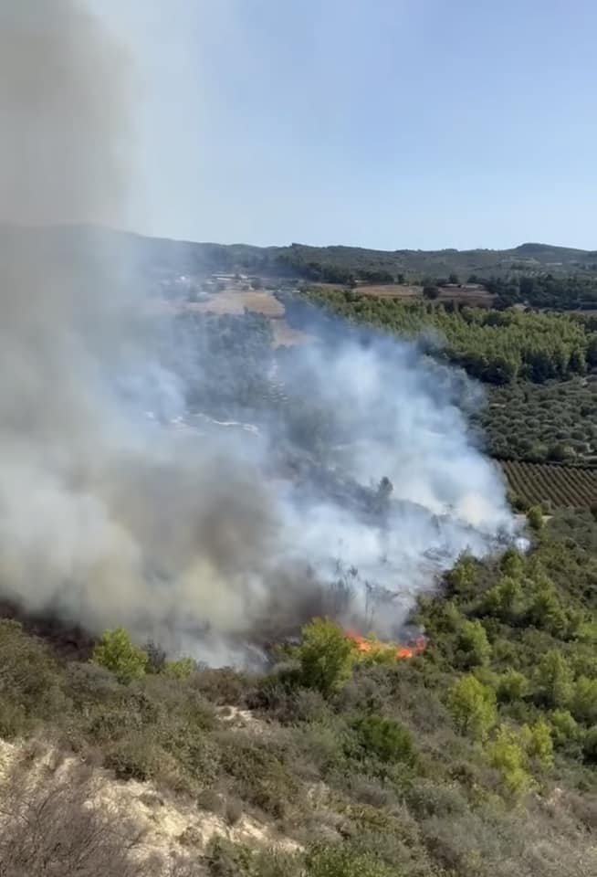 Φωτιά στην περιοχή Γεράκι Αμαλιάδας / facebook