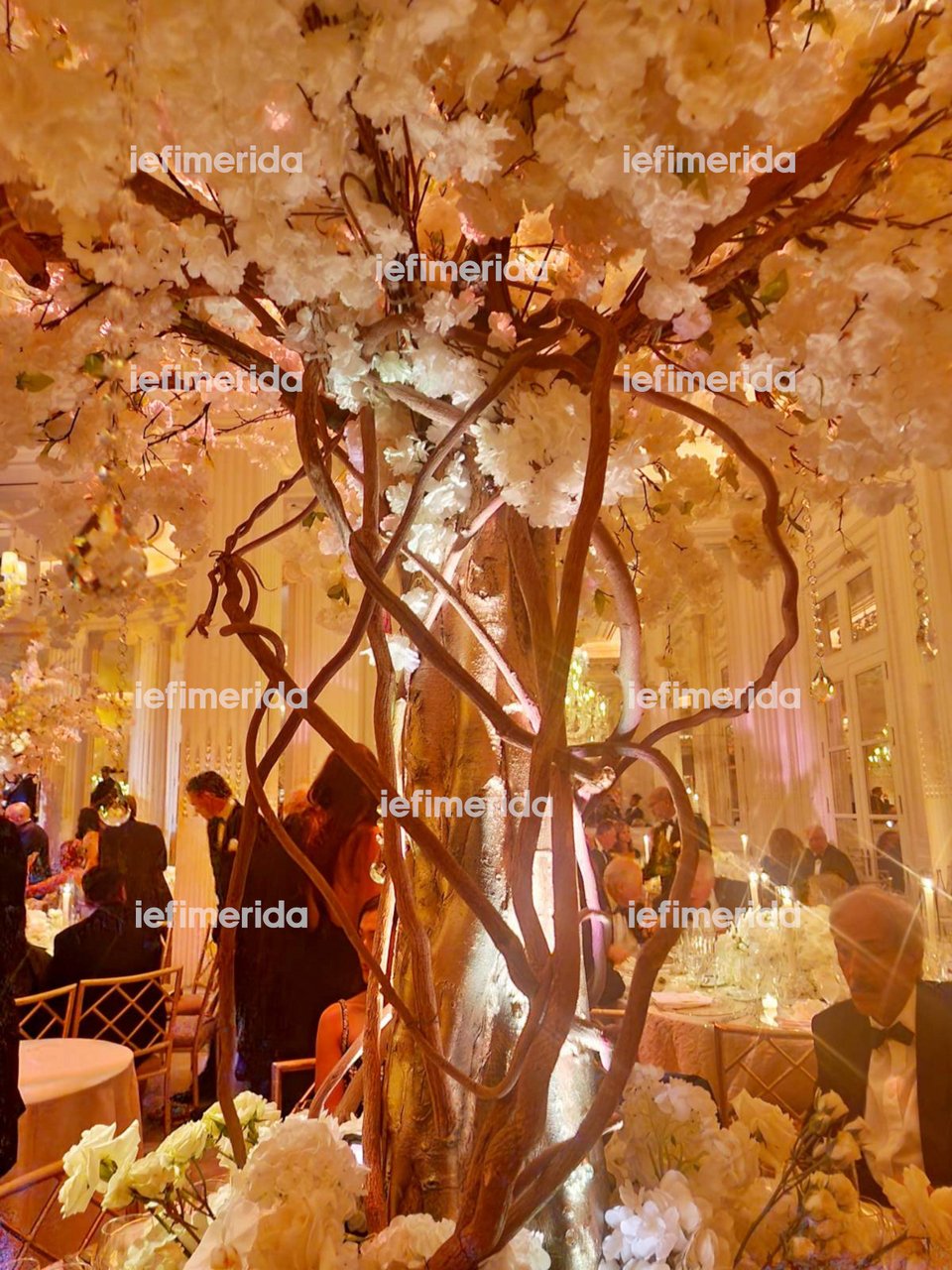 Το ξενοδοχείο στη Νέα Υόρκη που ο Ωνάσης αποκαλούσε σπίτι του -Το Ελληνικό γαμήλιο γλέντι του Κατσιματίδη jr [εικόνες]