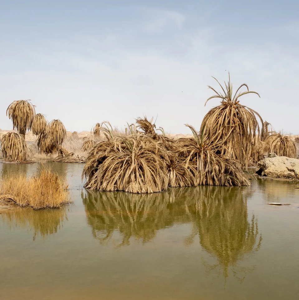 An Imperiled Haven, Siwa Oasis, Egypt / M’HAMMED KILITO