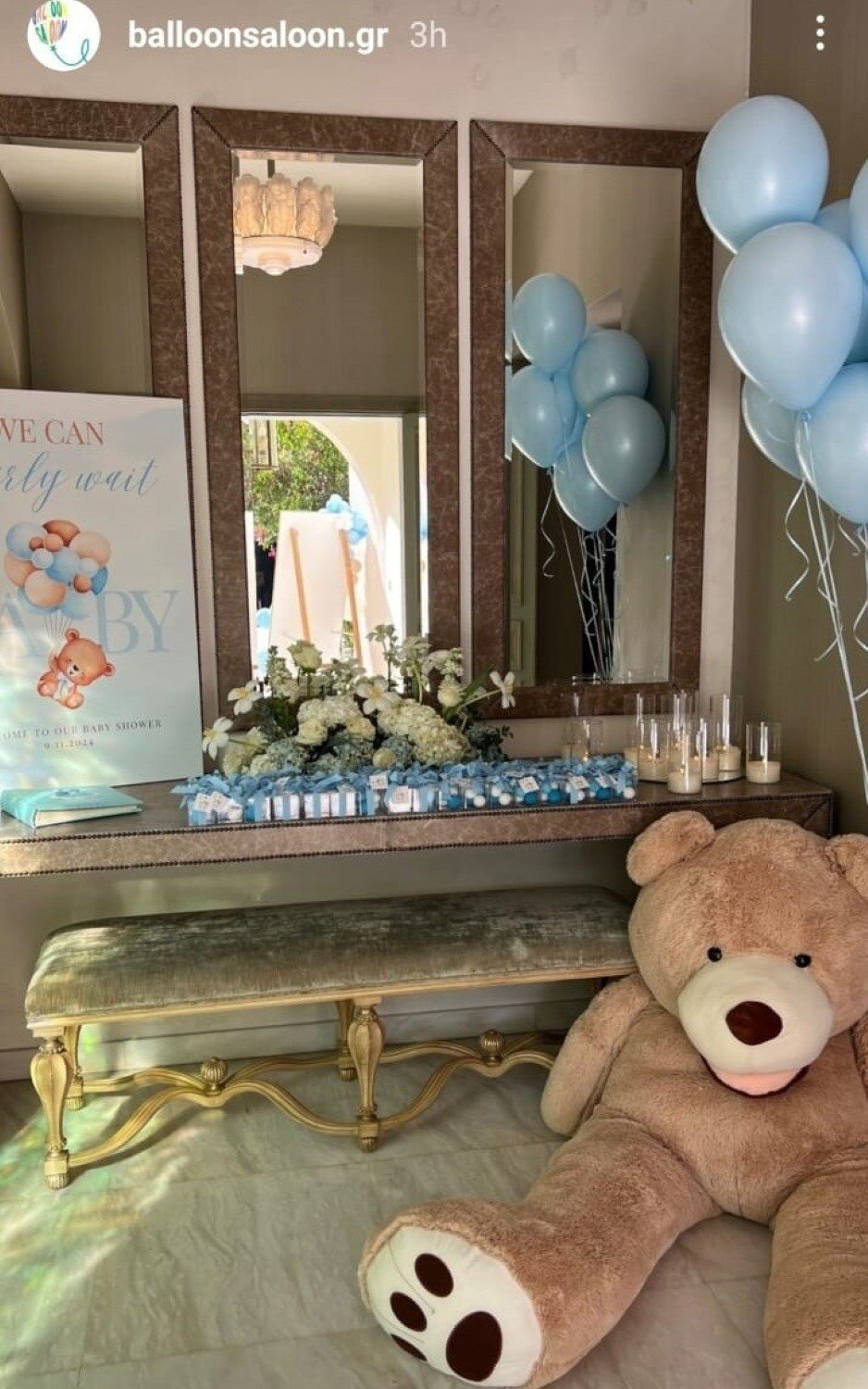 Ως θέμα του πάρτι, επιλέχθηκε η πρόταση «We can bearly wait… Baby!»