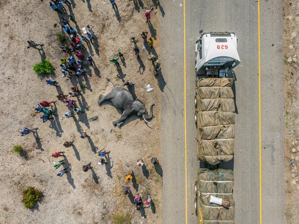 Dangerous Crossroads, Sioma, Zambia / Jasper Doest