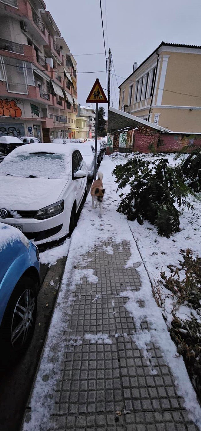 Στα «λευκά» οι δρόμοι στην Κοζάνη