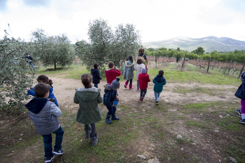 Για τους μικρούς φίλους οργανώνoνται διάφορες εκπαιδευτικές δραστηριότητες στη φύση ανάλογα με την εποχή, όπως τρύγο, μάζεμα της ελιάς κλπ.