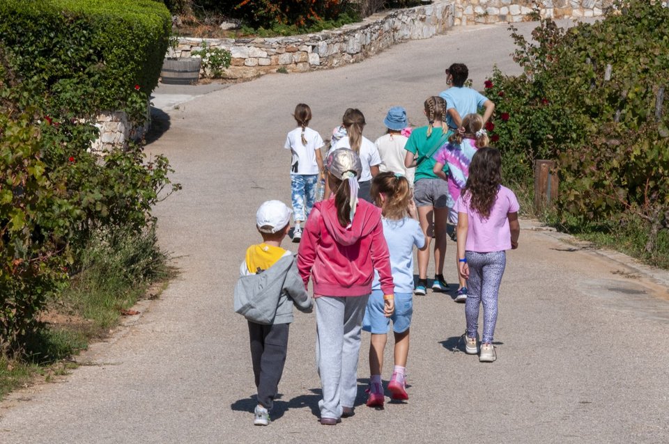 Μέσω της πρακτικής άσκησης και δραστηριοτήτων που βασίζονται στον κύκλο της φύσης, αναπτύσσονται η κριτική σκέψη και οι κοινωνικές δεξιότητες, ενώ παράλληλα καλλιεργείται η σχέση των παιδιών με τη φύση