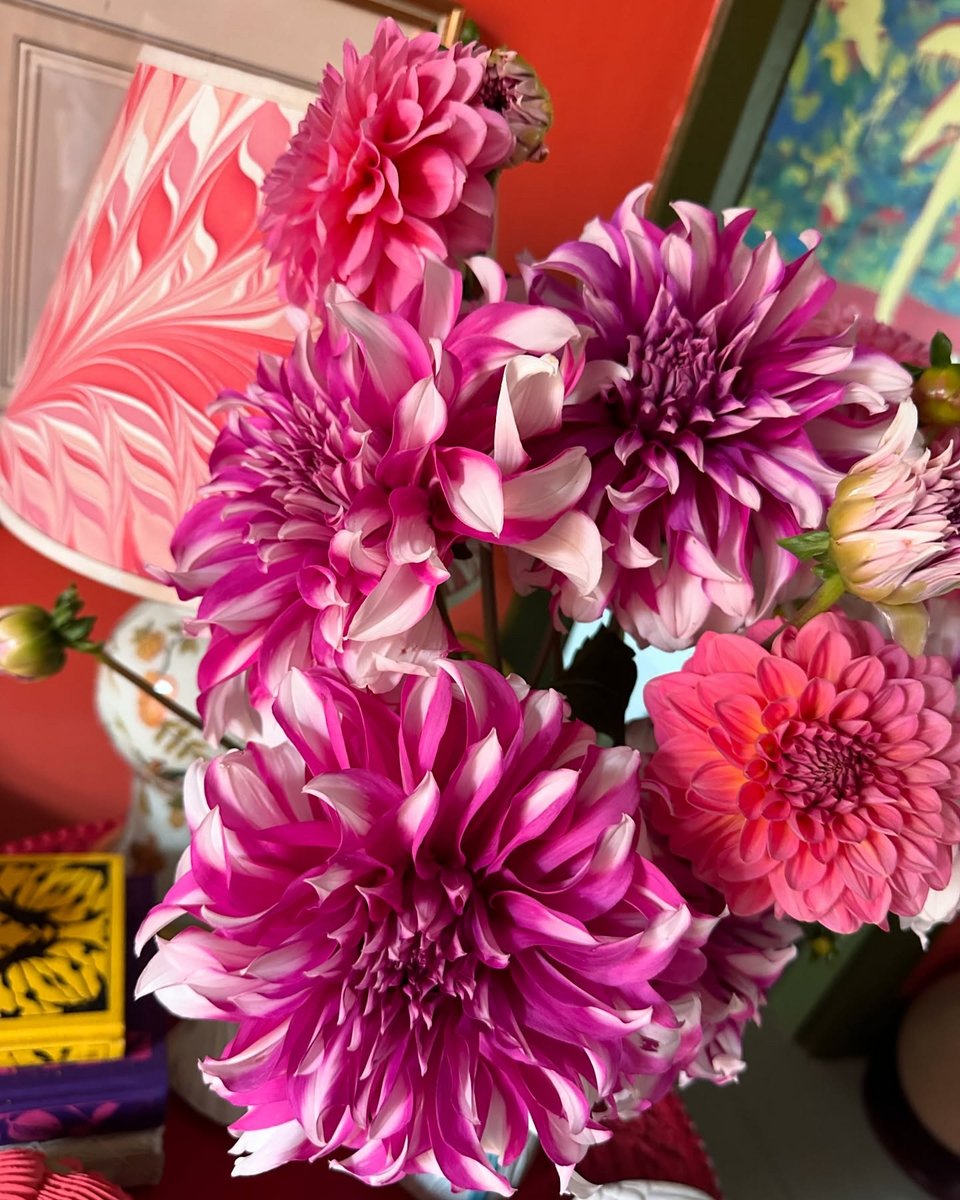 Τα λουλούδια είναι παντού κάθε εποχή / Φωτογραφία: maximilianhurd/Instagram