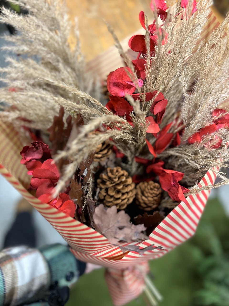 Αποξηραμένα φυτά που αντέχουν χωρίς φροντίδα