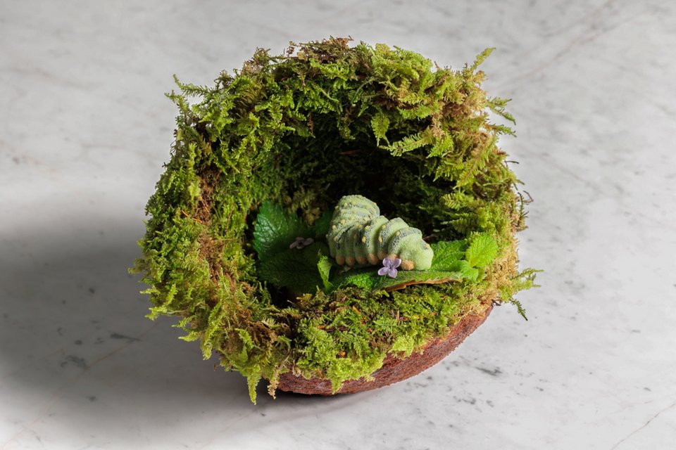 Πράσινη κάμπια από παγωμένα φύλλα νεραντζιάς και έλατο στο Delta Restaurant / Φωτογραφία: @Zak Viemon