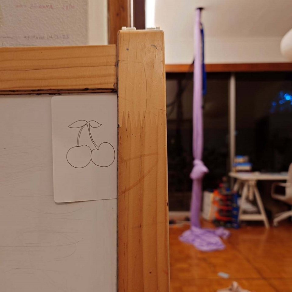 Τα παιδιά του Σωτήρη Κοντιζά επιχείρησαν να αντιγράψουν τα κεράσια της φωτογραφίας