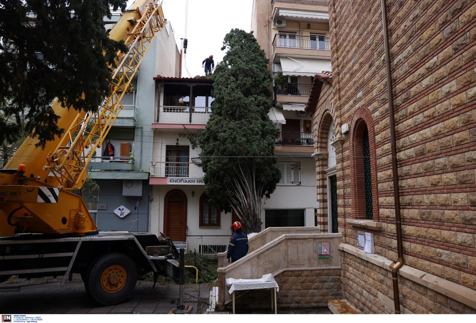 κυπαρίσσι