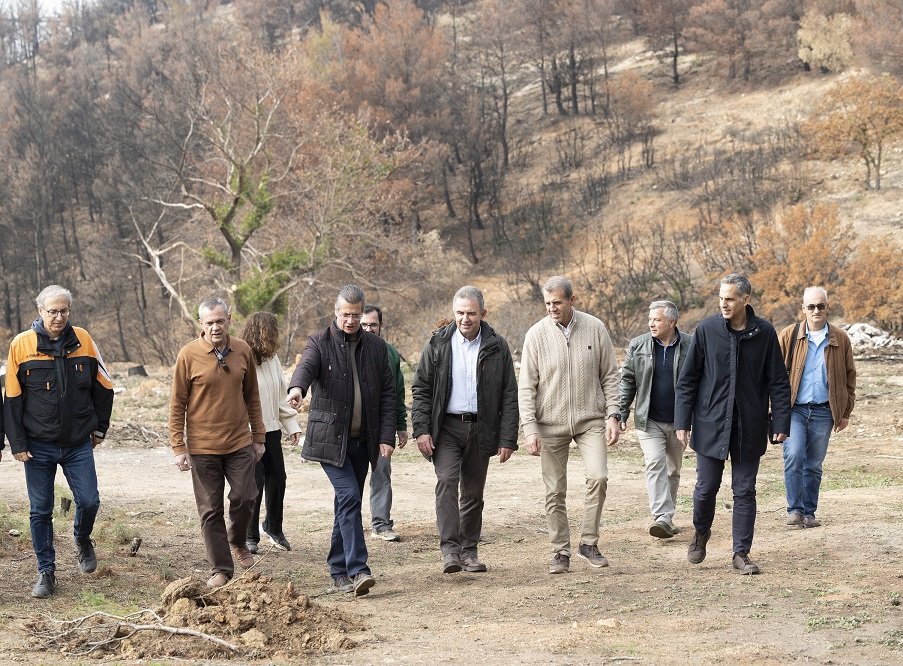 Στιγμιότυπο από την αναδάσωση η οποία πραγματοποιείται σε καμένη δασική έκταση 70 στρεμμάτων