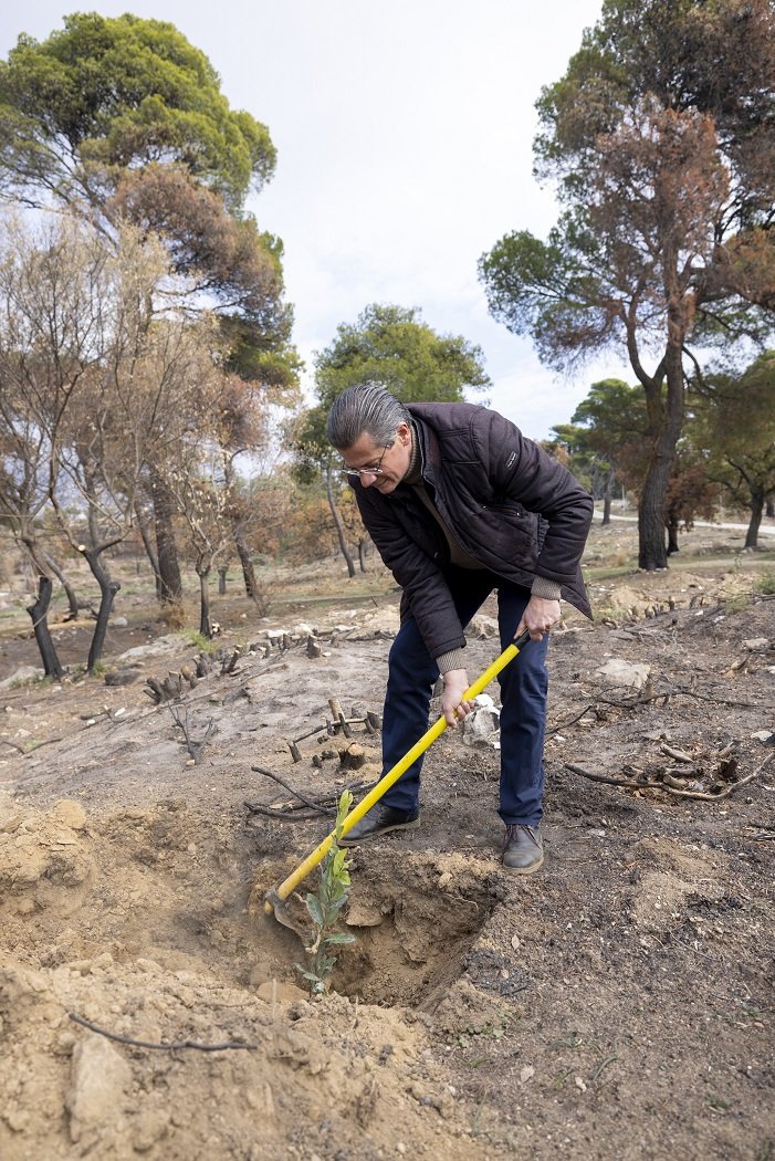Ο Γενικός Γραμματέας Δασών του ΥΠΕΝ, Στάθης Σταθόπουλος επί το έργον