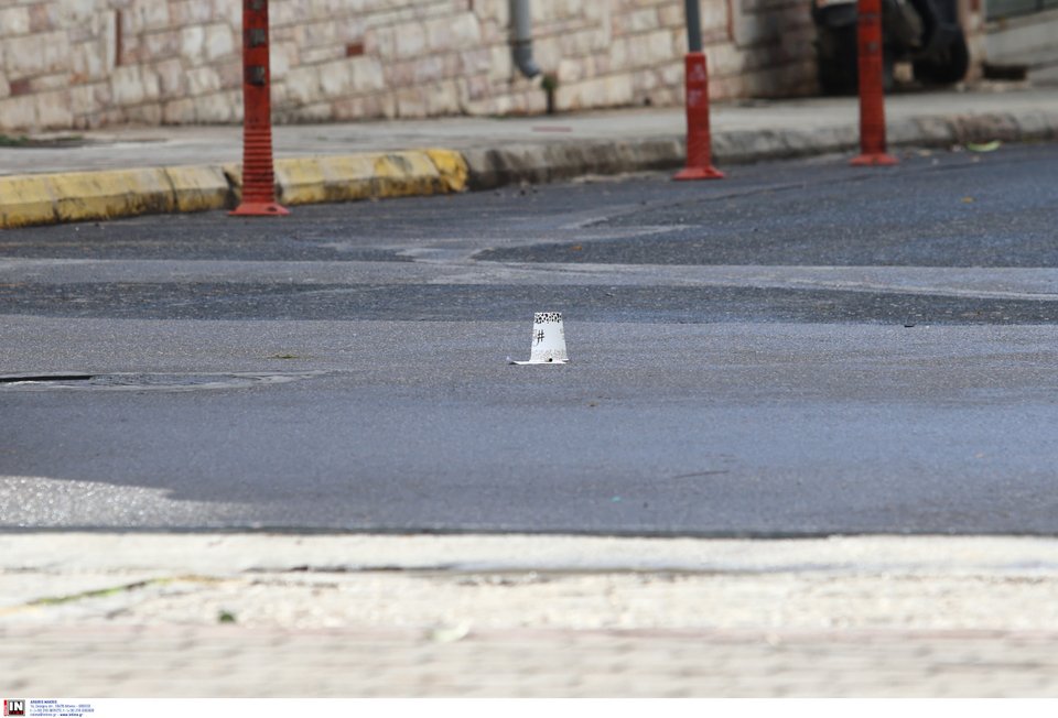 Κάλυκας στον δρόμο / Φωτογραφία: IntimeNews/ΛΙΑΚΟΣ ΓΙΑΝΝΗΣ