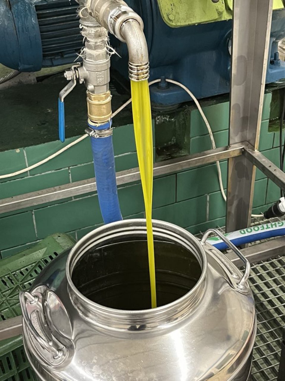 Σε τενεκέδες έχει ήδη μπει το πρώτο λάδι του Δήμου Θεσσαλονίκης, το οποίο από την έκθεση δοκιμών χημικής ανάλυσης του Αριστοτελείου Πανεπιστημίου Θεσσαλονίκης χαρακτηρίζεται «εξαιρετικά παρθένο ελαιόλαδο»