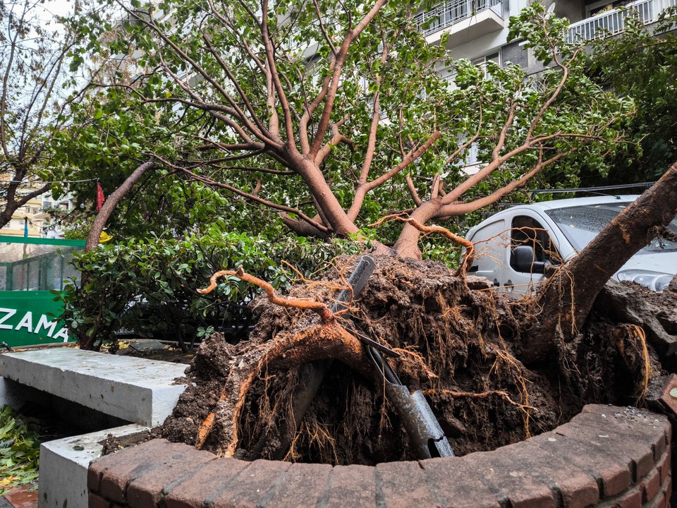 Φωτογραφία: EUROKINISSI, ΓΙΩΡΓΟΣ ΚΟΝΤΑΡΙΝΗΣ
