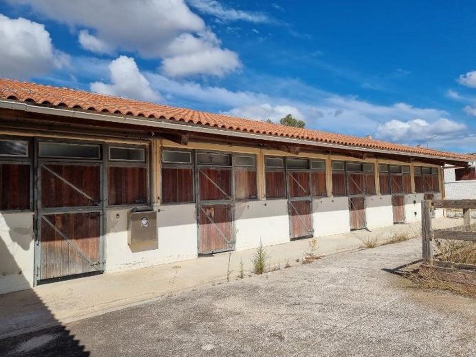 Πλειστηριασμός, Ιππικός Όμιλος