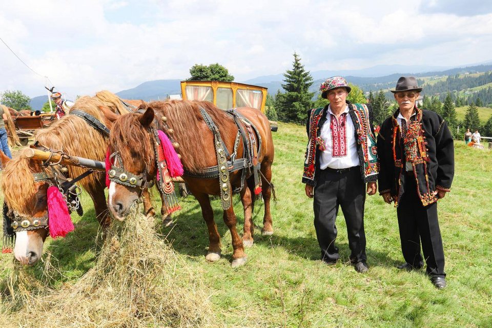 Ελάχιστοι βοσκοί εξακολουθούν να εκτρέφουν ζώα / UkraineToday 
