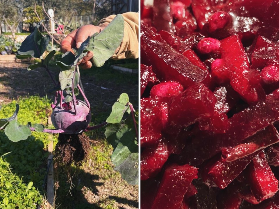 Το παντζάρι, μόλις βγαίνει από τη γη, γίνεται κατευθείαν σαλάτα, στο Περιβόλι στη Βάρη / Φωτογραφία: perivolivari/Instagram